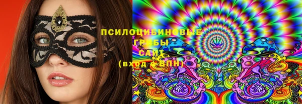 стаф Козельск