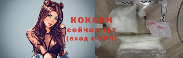 ПСИЛОЦИБИНОВЫЕ ГРИБЫ Кодинск