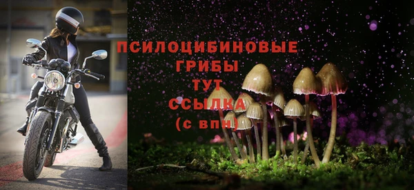 стаф Козельск