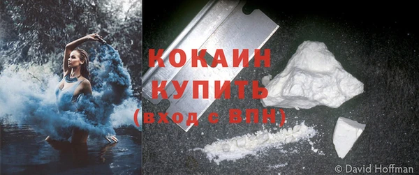 ПСИЛОЦИБИНОВЫЕ ГРИБЫ Кодинск