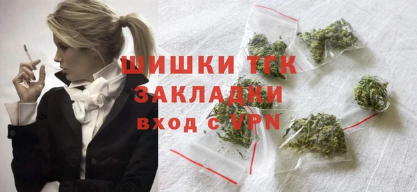 стаф Козельск