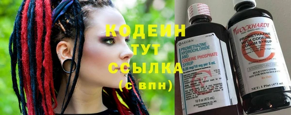 стаф Козельск