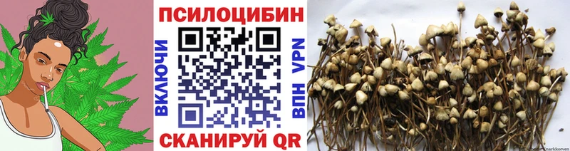 Купить где  Змеиногорск  Псилоцибиновые грибы мухоморы 