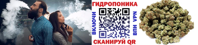 Купить закладки  Змеиногорск  Марихуана сатива 